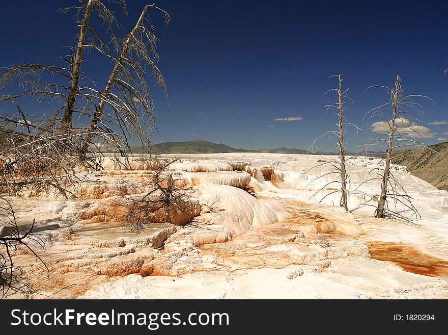 Mammoth hot springs