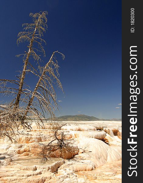 Mammoth hot springs