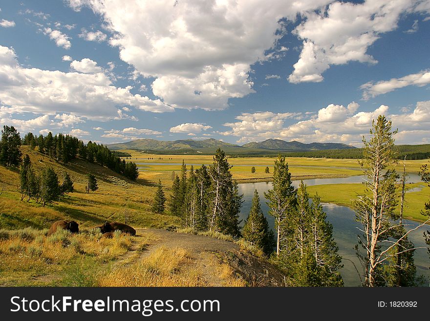 Beautiful landscape, Yellowstone National Park, United States