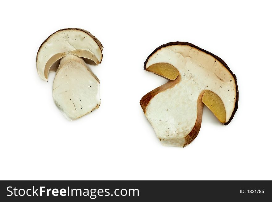 Close up of two mushroom slices on white background. Close up of two mushroom slices on white background
