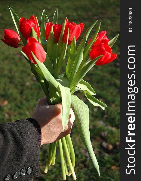 Beautiful red flowers show your love to your lover. Beautiful red flowers show your love to your lover.