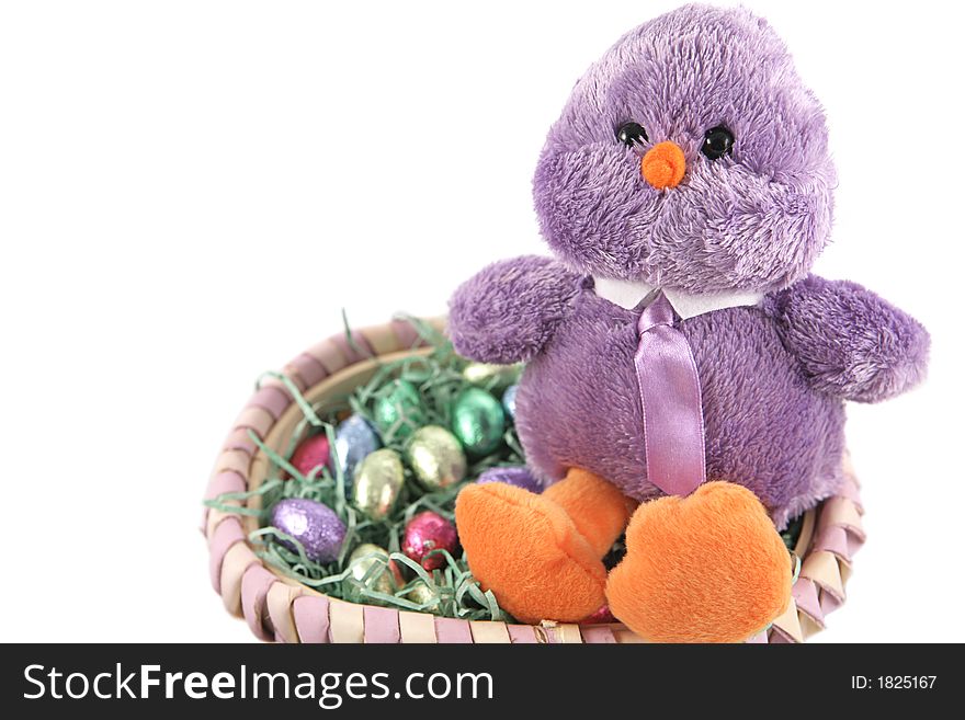 A stuffed easter chick sitting in a basket of chocolate eggs.  White background. A stuffed easter chick sitting in a basket of chocolate eggs.  White background.