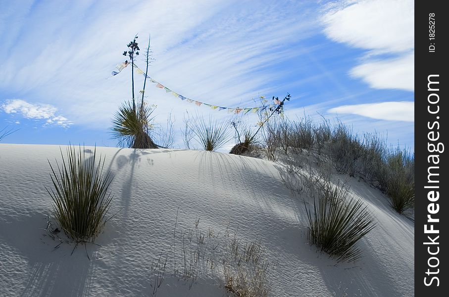 Silhouette of a string of tattered Tibetan Prayer Flags strung up on some Yucca in the white sand dunes of New Mexico, USA. Silhouette of a string of tattered Tibetan Prayer Flags strung up on some Yucca in the white sand dunes of New Mexico, USA.