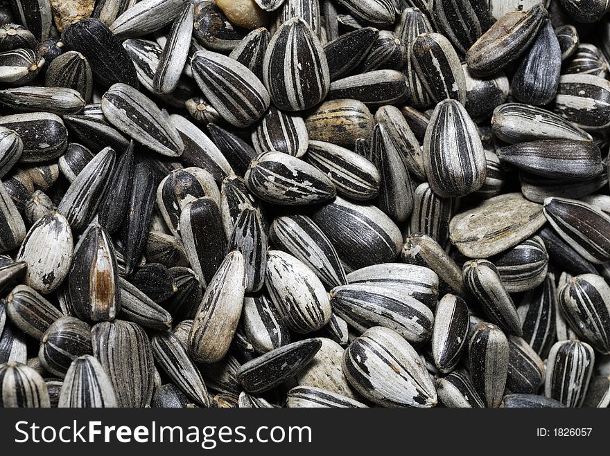 Closeup of delicious Sunflower seeds