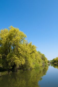 Danube Delta Channel Royalty Free Stock Images