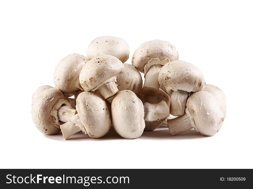 Mushrooms isolated on a white background