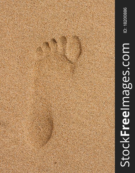 Image of women's legs on the beach and footprints in the sand