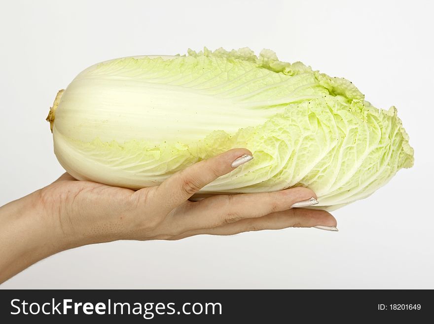 Image of the hand with cabbage isolate on a white background. Image of the hand with cabbage isolate on a white background