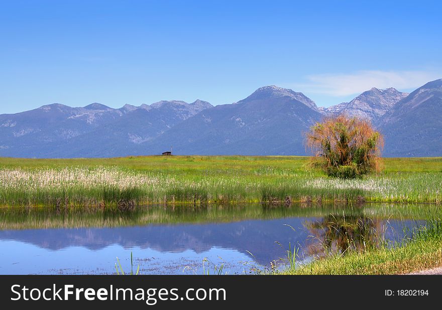 Scenic landscape of reflection of trees and mountains. Scenic landscape of reflection of trees and mountains