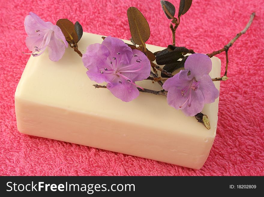 Soap with a Labrador tea flower on a pink towel. Soap with a Labrador tea flower on a pink towel