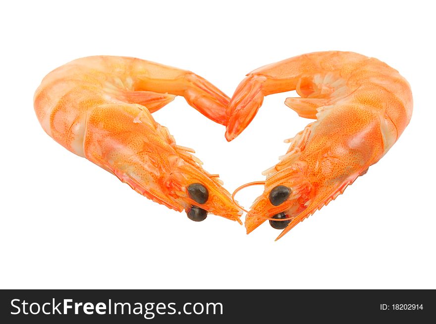 Two shrimp closeup on white background