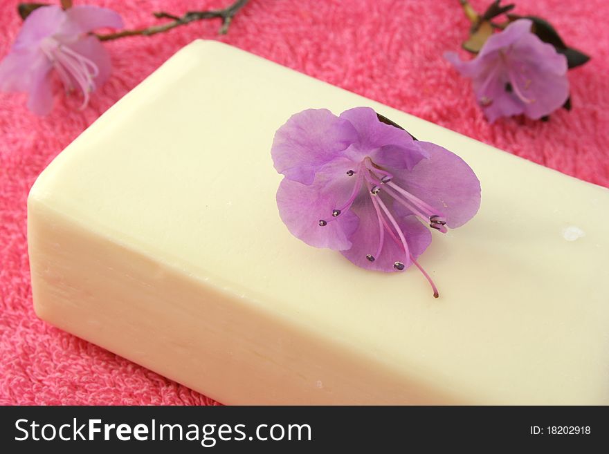 Soap with a Labrador tea flower on a pink towel. Soap with a Labrador tea flower on a pink towel