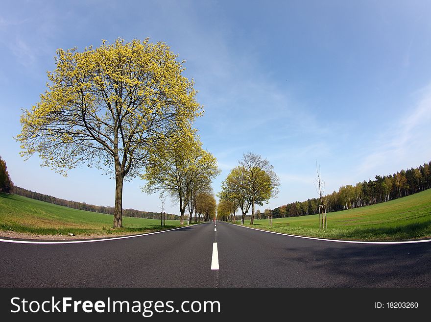 Country road at bavarya, germany