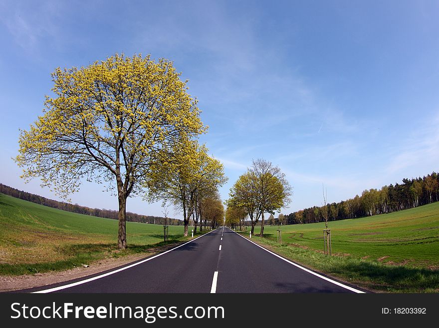 Country road at bavaria, germany