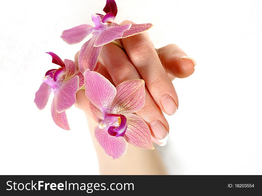 Beautiful hand with perfect nail french manicure and purple orchid flowers. isolated on white background