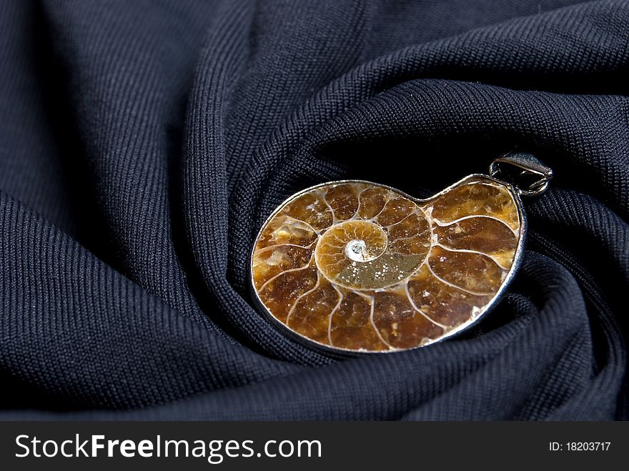 Ammonite conch on the black spiral background