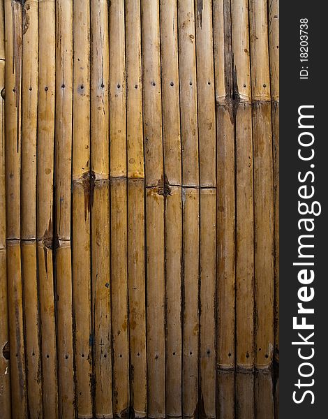 Bamboo Striped Pattern