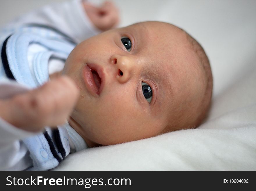 Portrait of a newborn baby