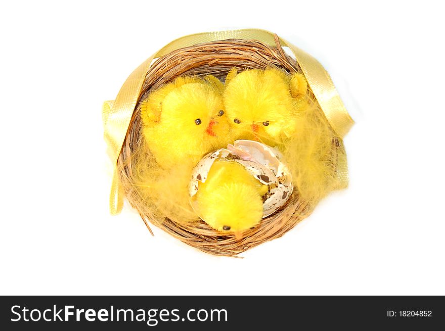 Three chickens in a nest on a white background. Three chickens in a nest on a white background.