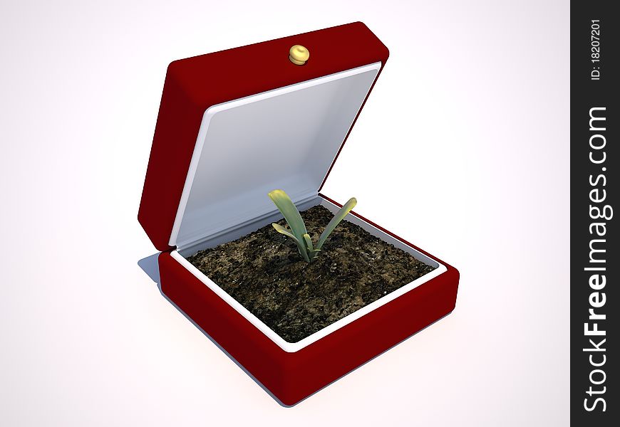 Red gift box with a plant inside. Red gift box with a plant inside