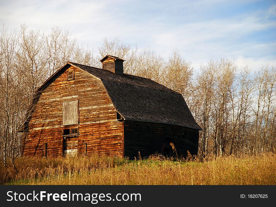 Old Brown Barn In Sunlight