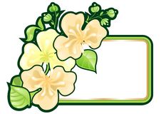 Greeting Card With Flowers Stock Photo Greeting Card With Flowers Stock Photo