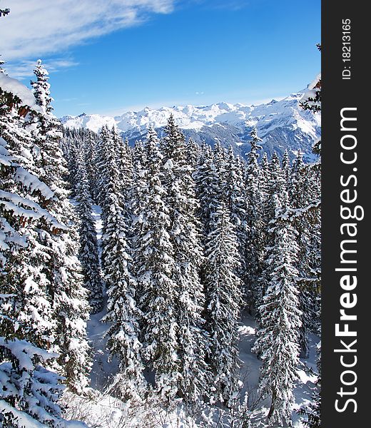 Winter In The Alps