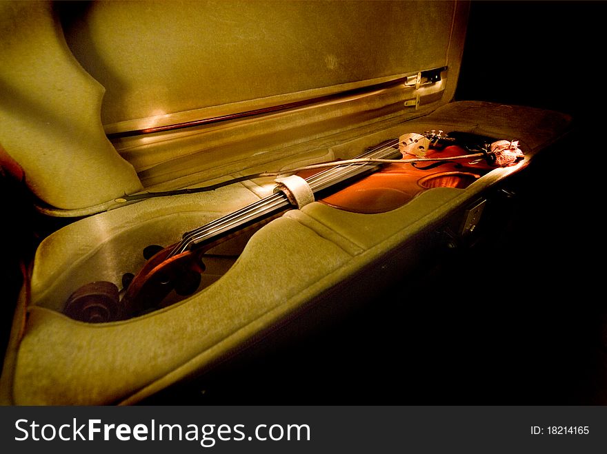 A flower on violin in a coffin. A flower on violin in a coffin.