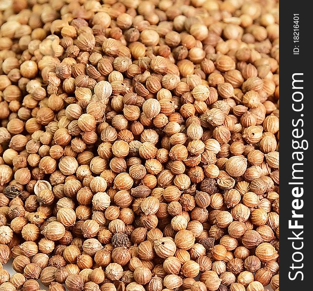 Heap of a coriander closeup