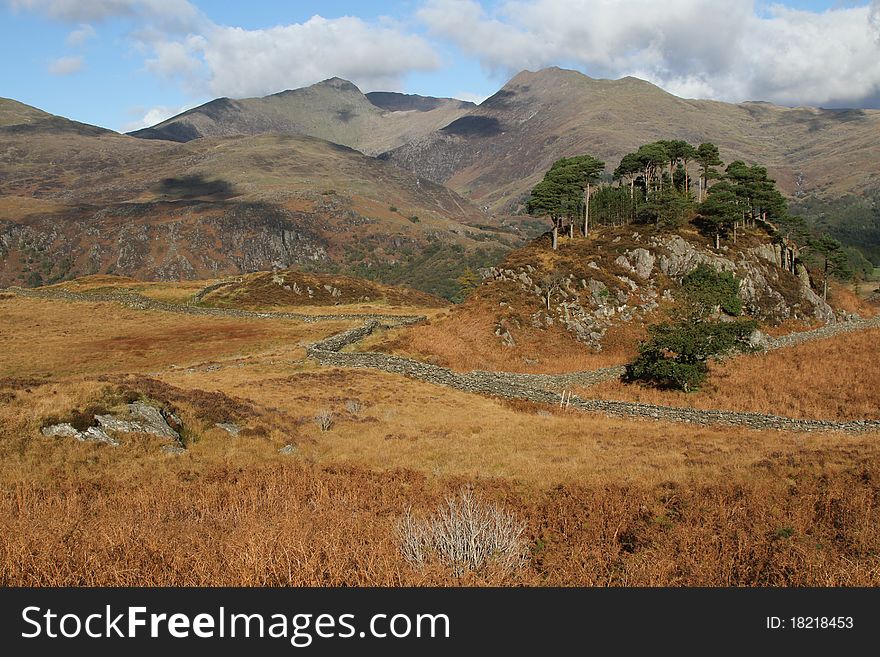 Mountainous landscape, a hill with Scots pine trees on moorland viewing out towards high mountains. Mountainous landscape, a hill with Scots pine trees on moorland viewing out towards high mountains.