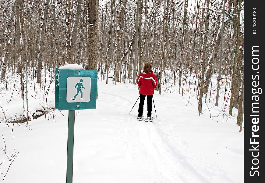 Woman snowshoes on marked path. Woman snowshoes on marked path