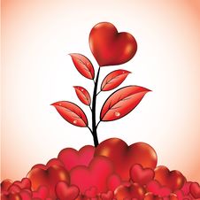 Flower With Heart Stock Image Flower With Heart Stock Image