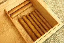 Cigars In Open Humidor Stock Images Cigars In Open Humidor Stock Images