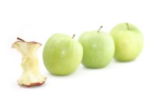 Devoured For Being Different Royalty Free Stock Image Devoured For Being Different Royalty Free Stock Image
