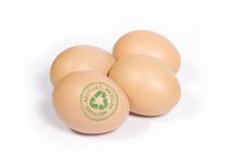 Recycled Eggs Stock Image