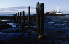 St Mary S Lighthouse Stock Photo St Mary S Lighthouse Stock Photo