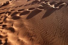 Animal Tracks In The Sand Royalty Free Stock Photography