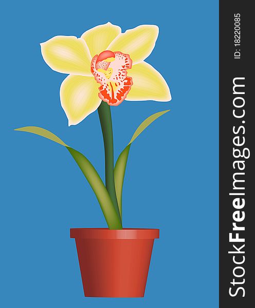 Colourful illustration of orchid in a pot. Colourful illustration of orchid in a pot