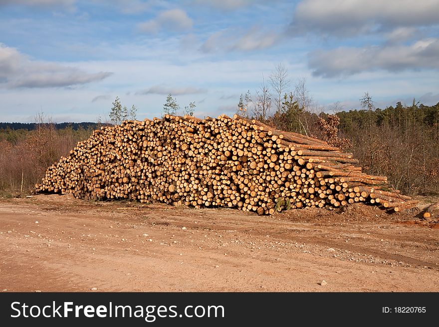 A huge pile of trunks amid the forest