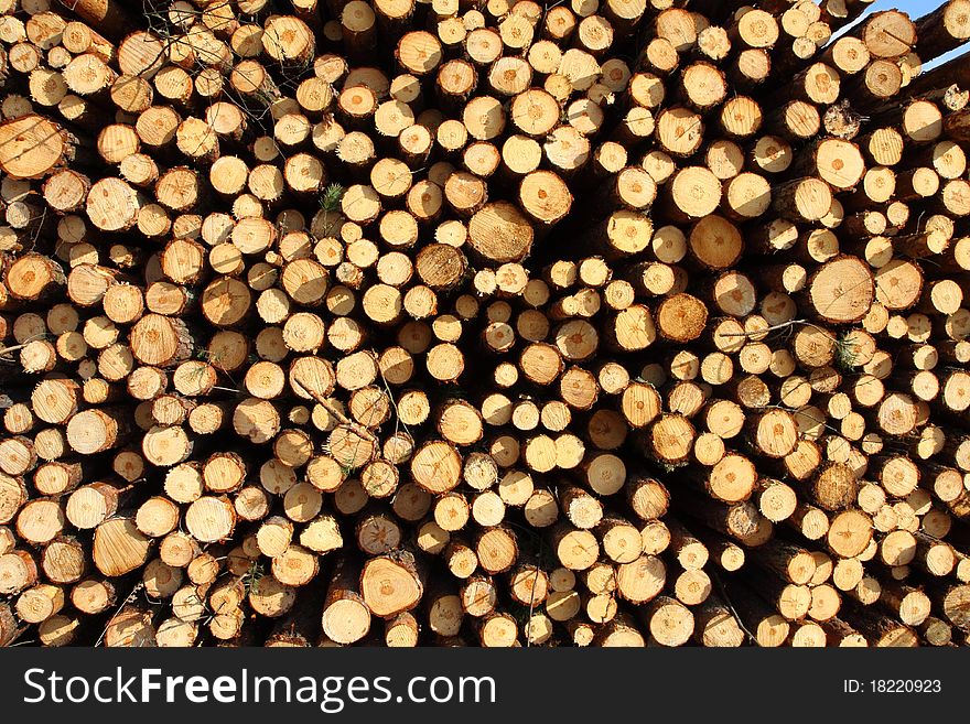 A close-up of a pile of trunks