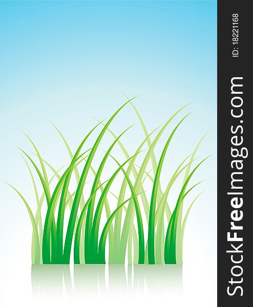 Vector illustration of green grass with reflection