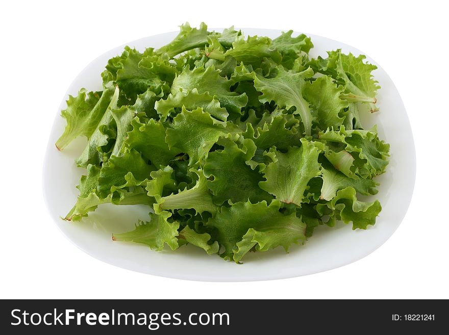 Salad on an white plate. Salad on an white plate