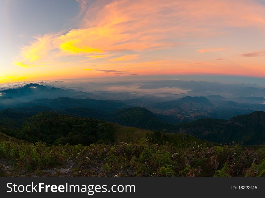 Winter, tropical sea fog the mountain is filled with fog grass yellow clouds lines valleys. Winter, tropical sea fog the mountain is filled with fog grass yellow clouds lines valleys