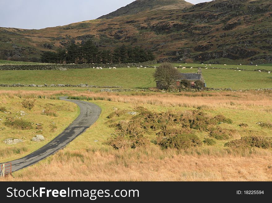 A narrow tarmac road winds towards a derelict abandonned house in a rural setting. A narrow tarmac road winds towards a derelict abandonned house in a rural setting.