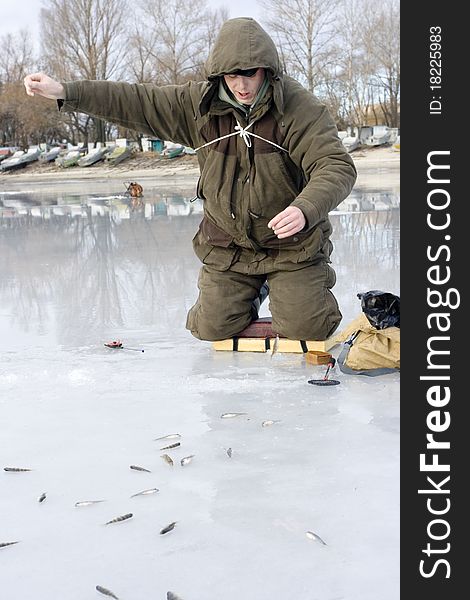 Ice fishing competition. competitor catches the fish on Ice Fishing Jig with bloodworm. Ice fishing competition. competitor catches the fish on Ice Fishing Jig with bloodworm