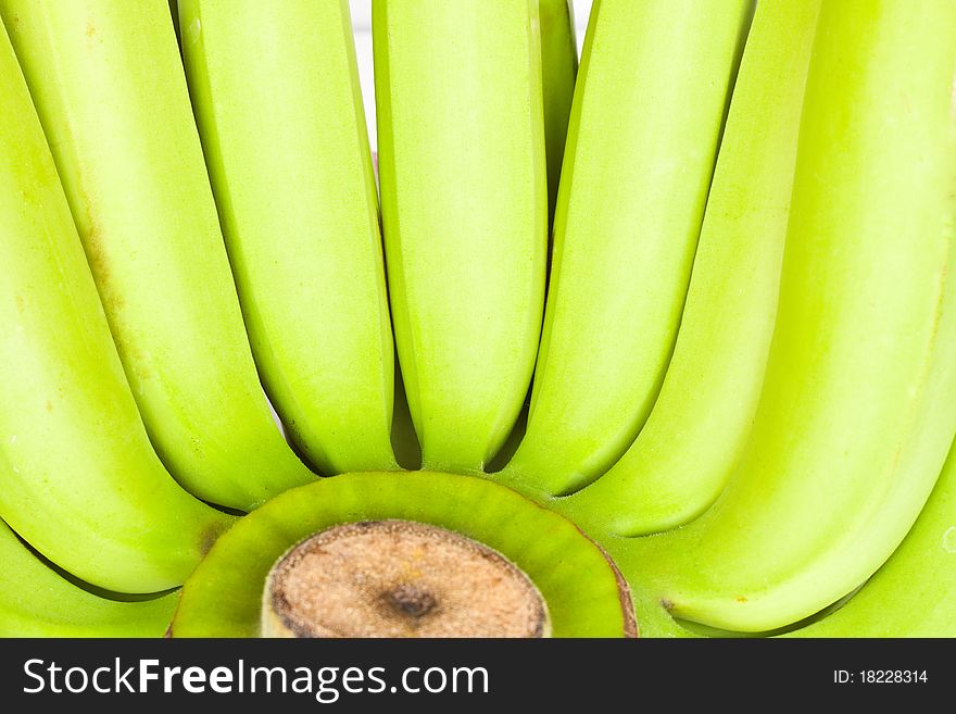 Bunch of green  bananas