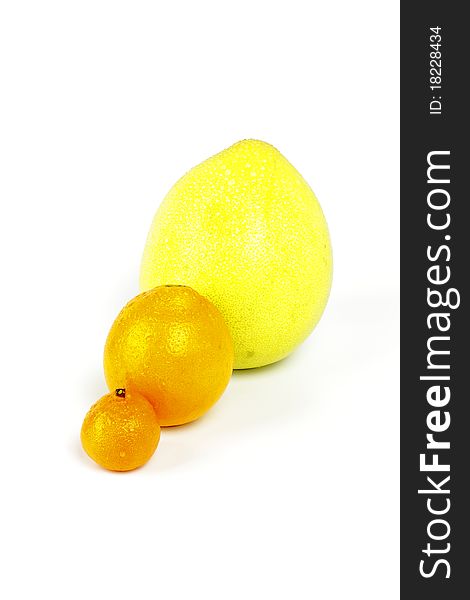 Set sweet wet of citron fruit on a white background. Set sweet wet of citron fruit on a white background