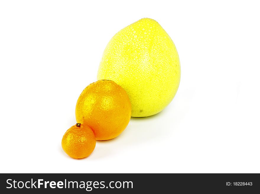 Set sweet wet of citron fruit on a white background. Set sweet wet of citron fruit on a white background