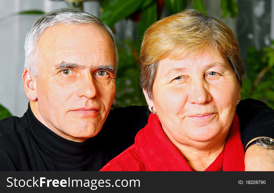 A portrait of a happy senior couple