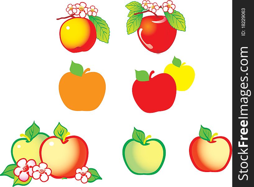 apples and flowers in various forms (in summer). apples and flowers in various forms (in summer)